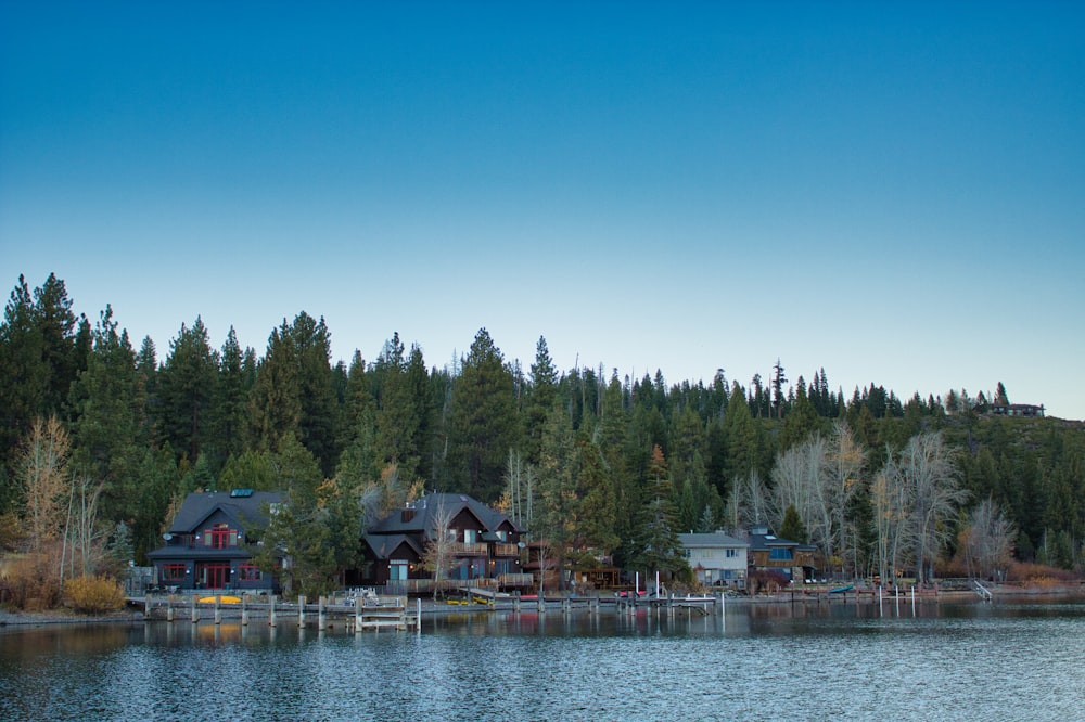 lake house near trees and lke