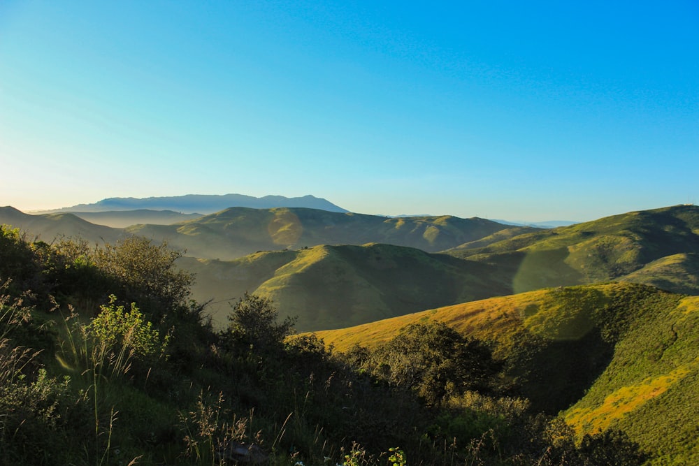 landscape photographjy of mountain field