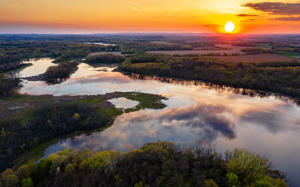 river and forest during golden hour