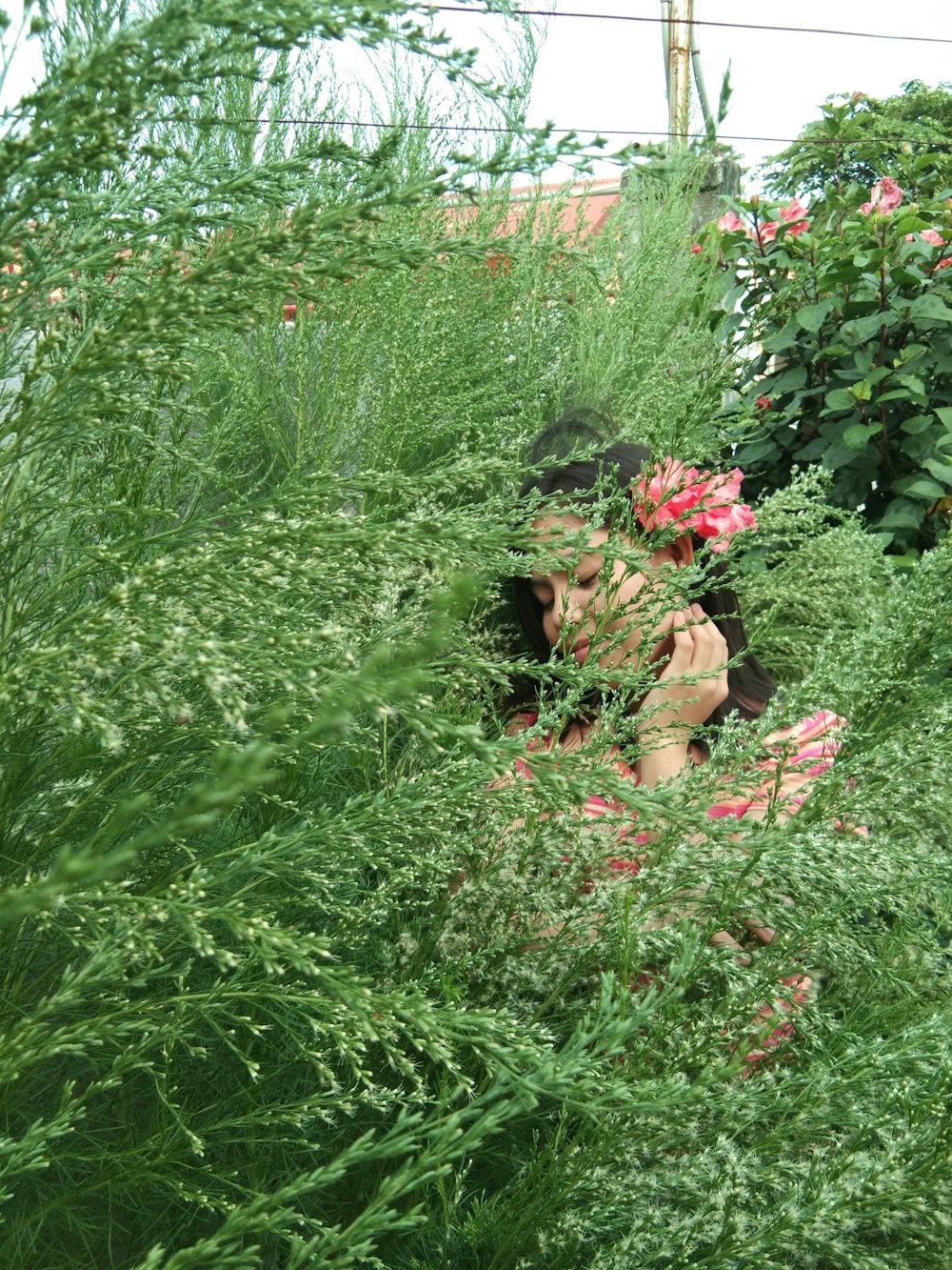 woman in pink by a green bush