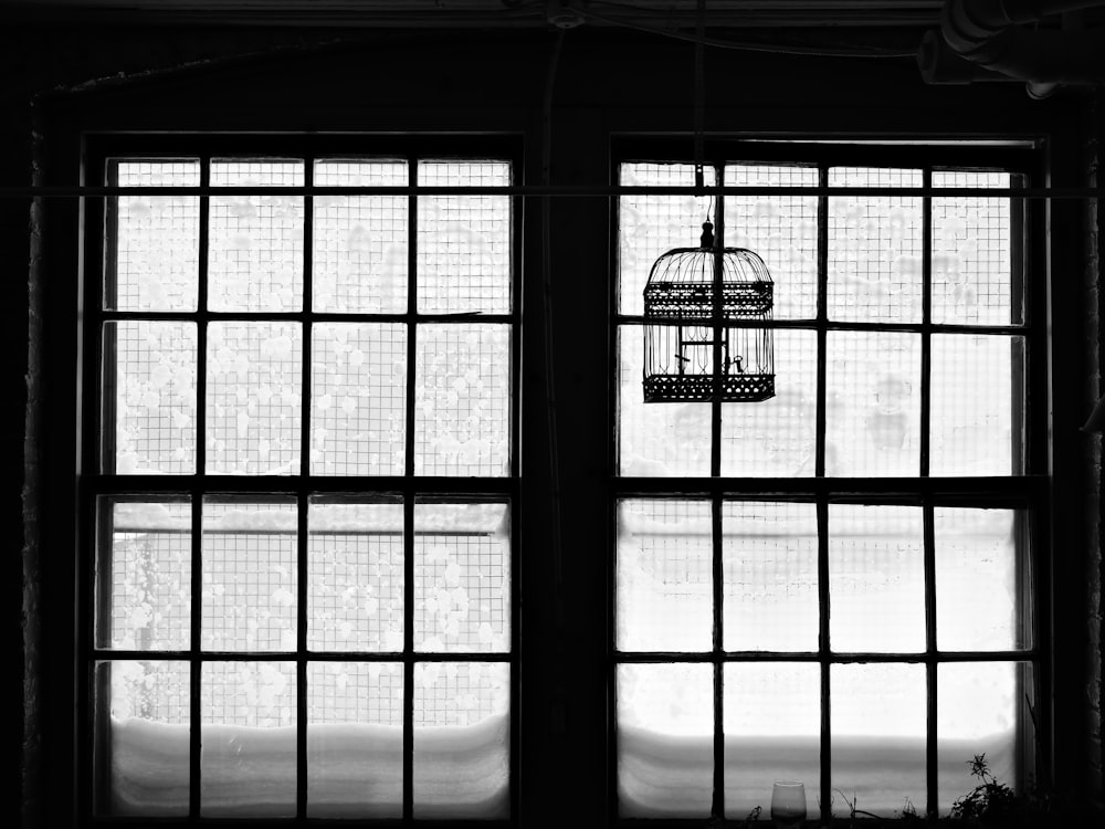 grayscale photo of a hanging birdcage