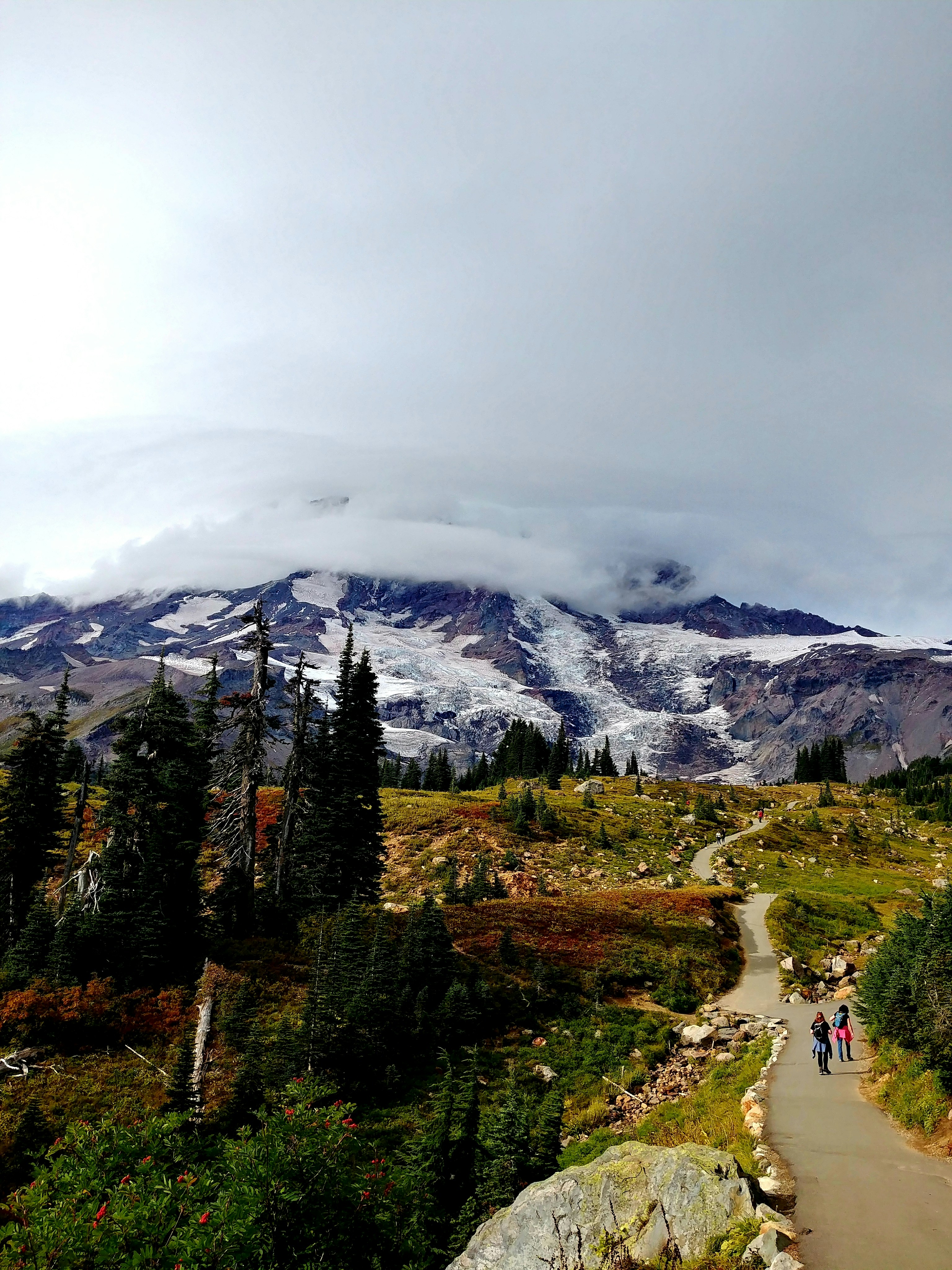 two persons walking on road near trees and grass and glacier mountains at the distance