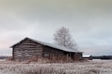 A wooden barn with a corrugated metal roof stands in a frosty field. The barn is constructed from horizontal logs and surrounded by dry, frozen grass. In the background, a few other structures can be seen, along with bare trees and a dull sky, suggesting a cold, winter environment.