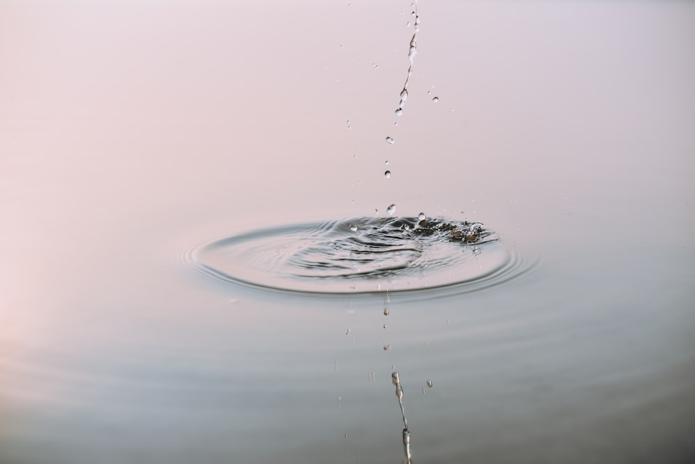 water droplet photography