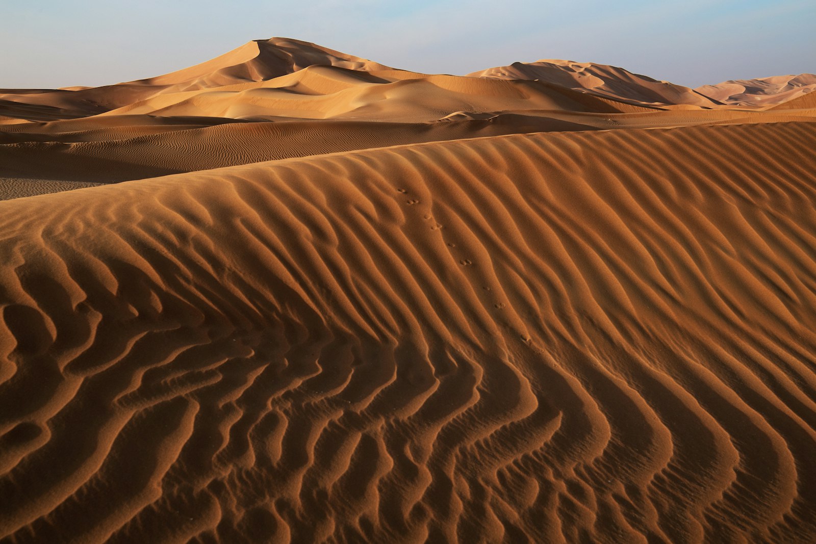 Nikon D5 + Nikon AF-S Nikkor 24-70mm F2.8E ED VR sample photo. Sand dunes during daytime photography