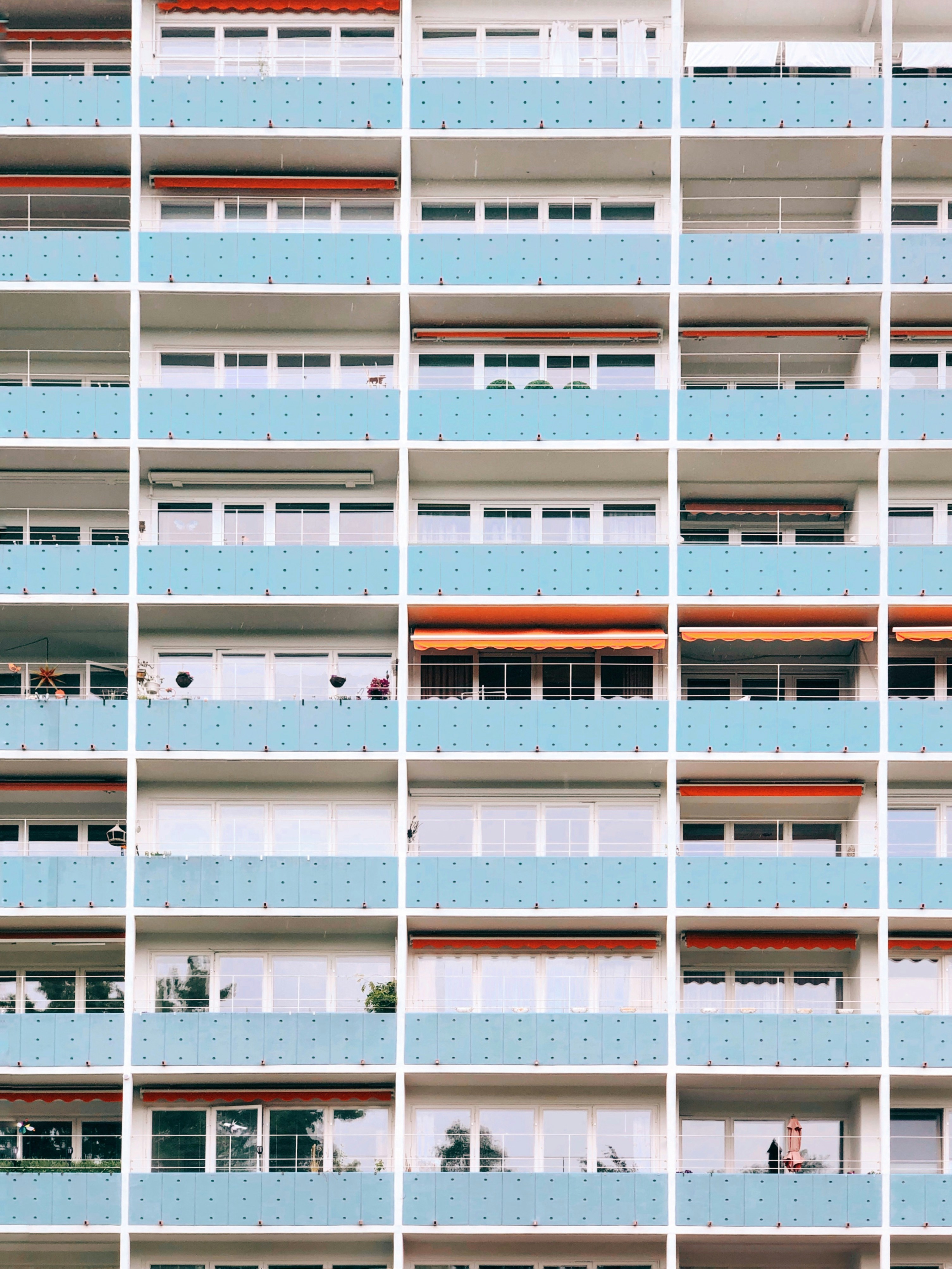 Photo by sur_le_misanthrope