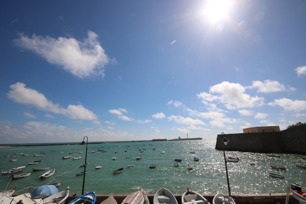 docked boats and boats on body of water during day