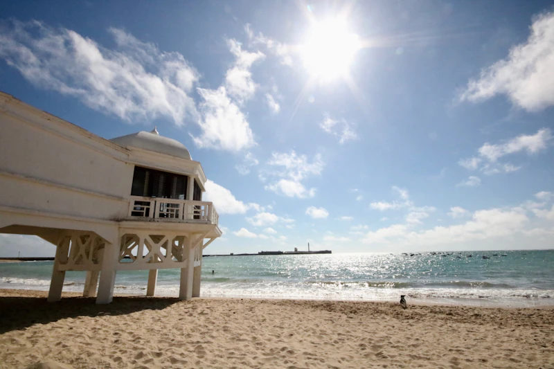 Best Rooftop Bars in Cadiz for Sunset Drinks and City Views