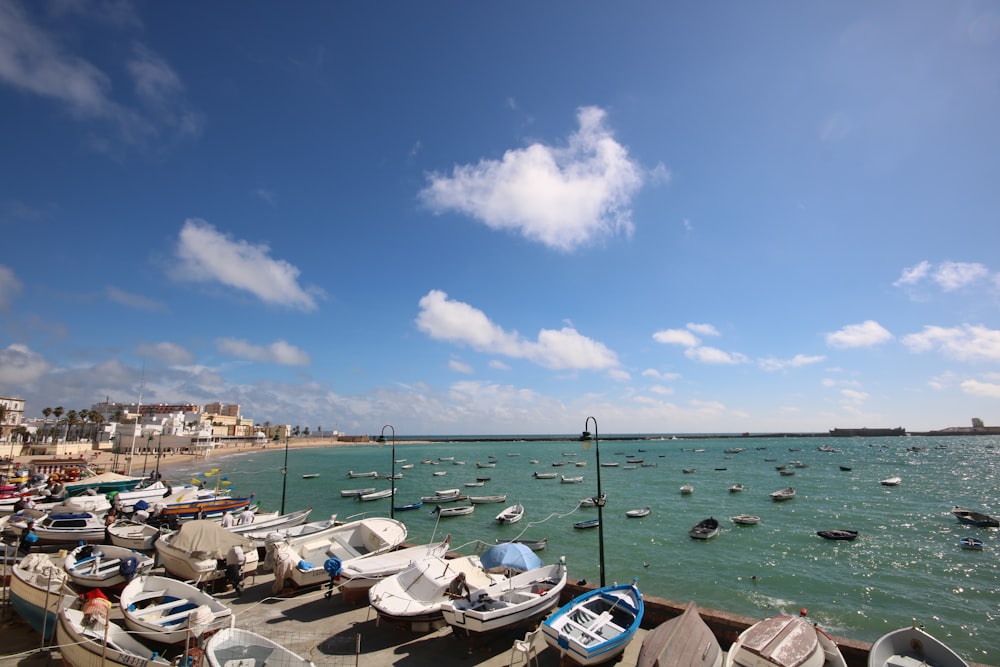 docked boats during day