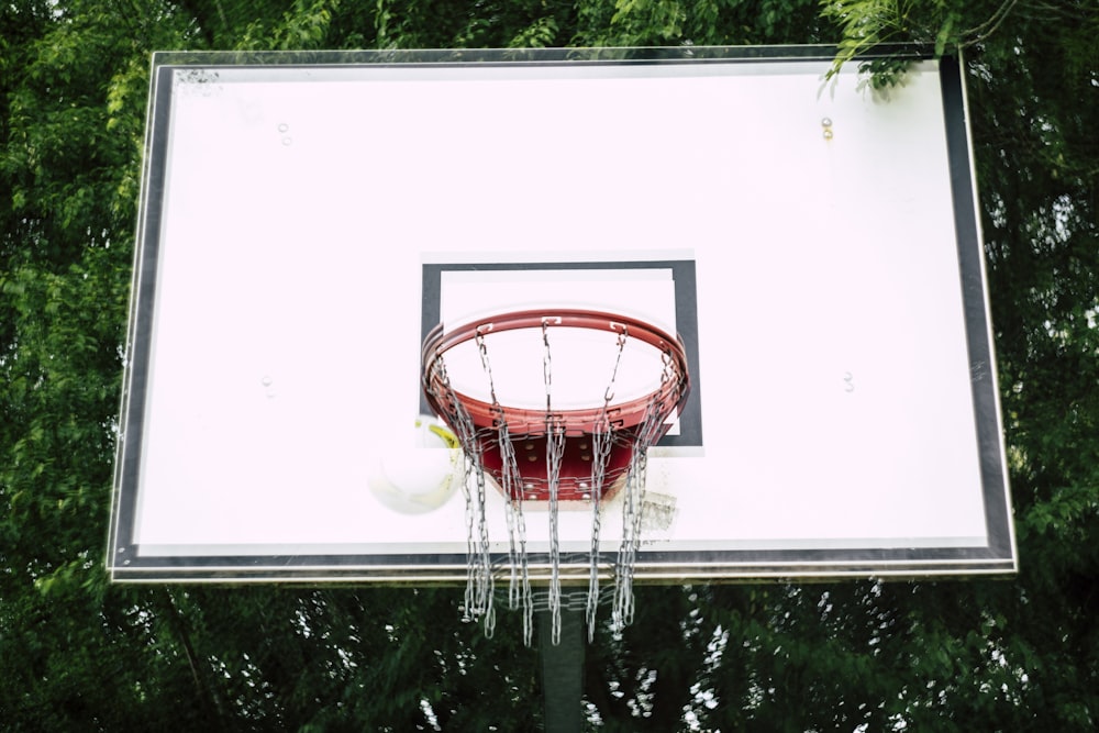 canasta de baloncesto frente a los árboles