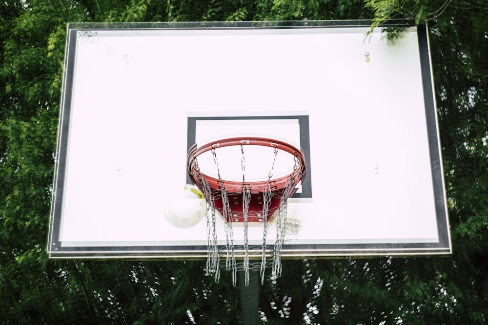 aro de basquete na frente das árvores