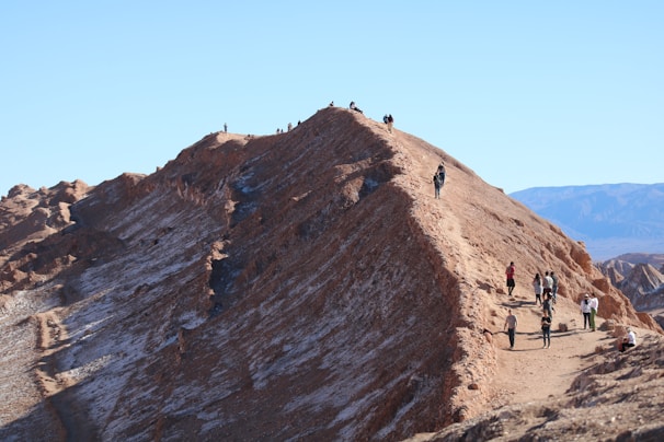 A small group hiking along a rugged coastal trail with the sparkling Mediterranean Sea in the background.