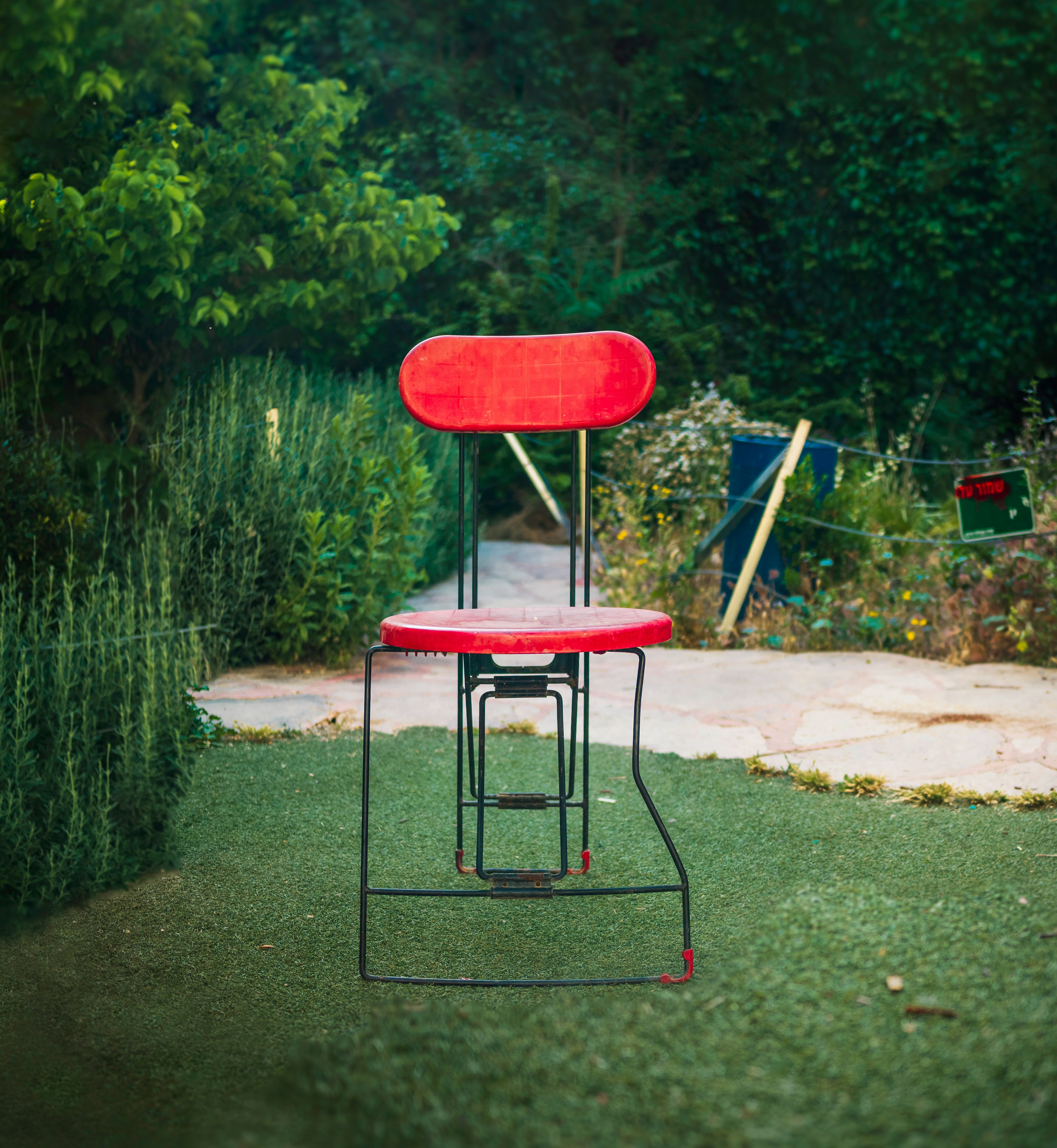 red chair near tree