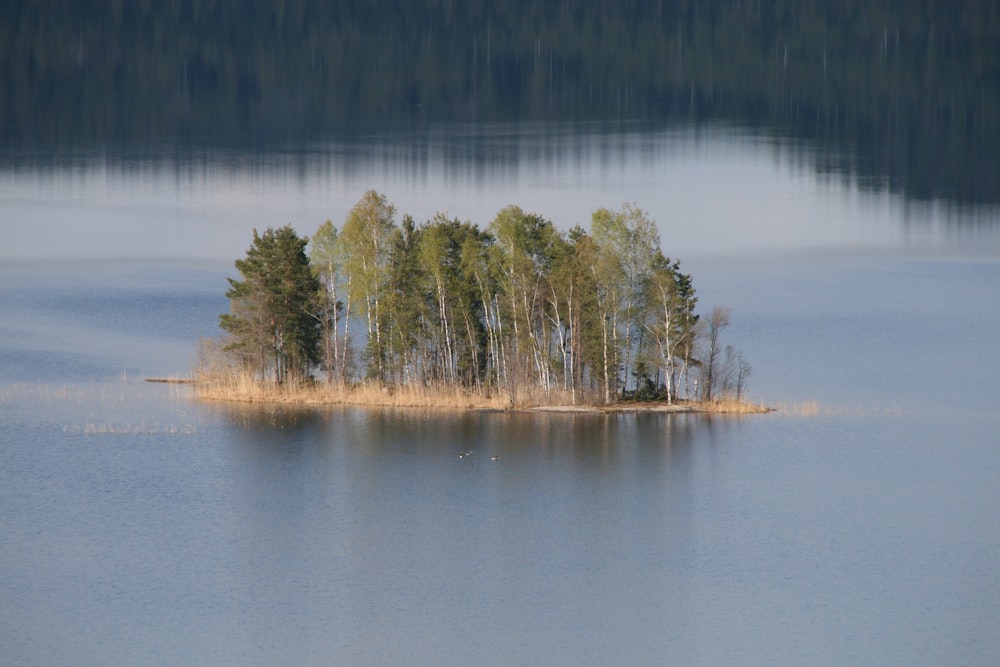 islet at middle of sea