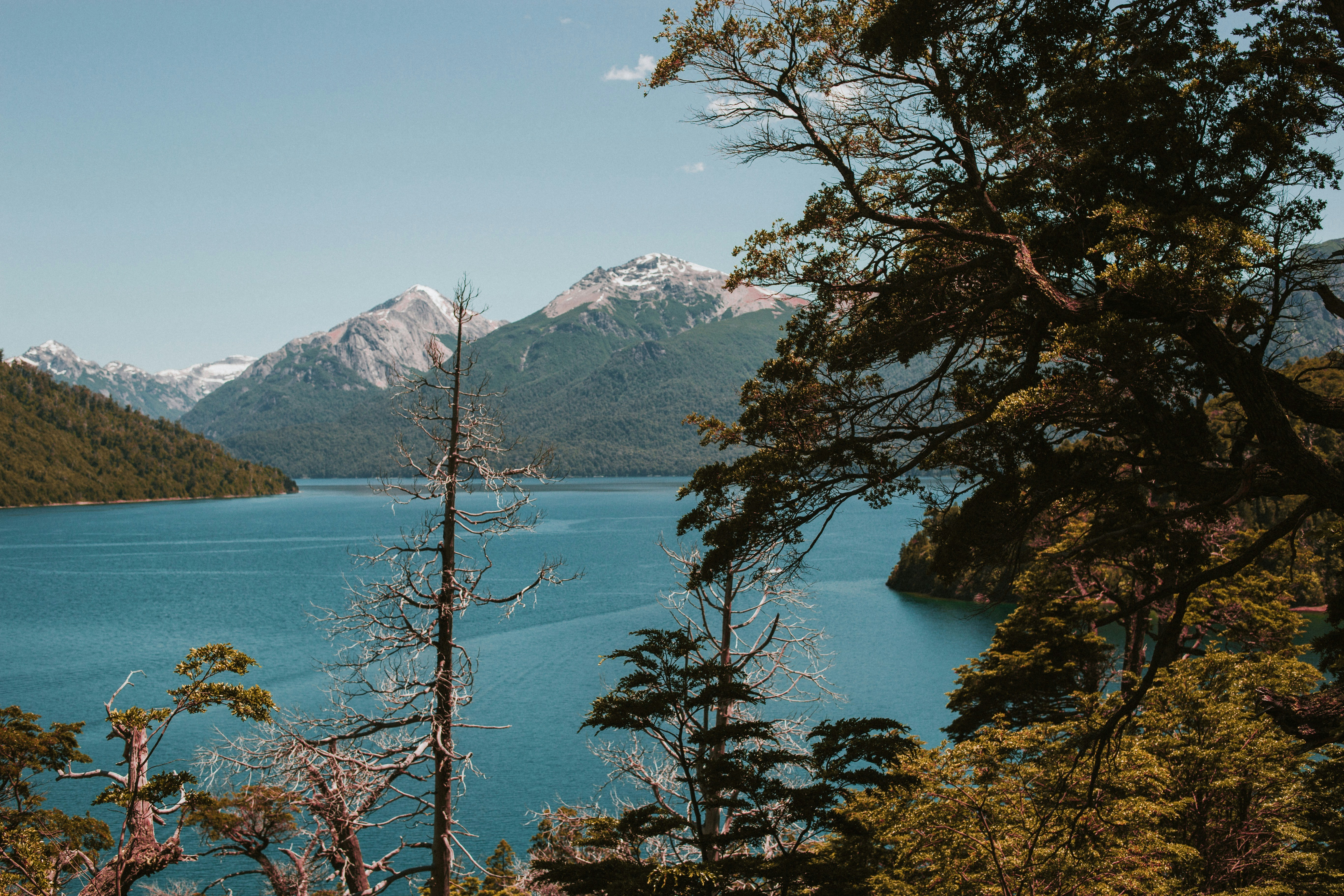 Photo by nikoherrera