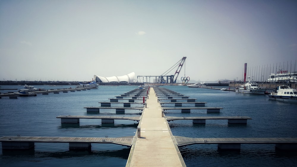 brown wooden ocean dock