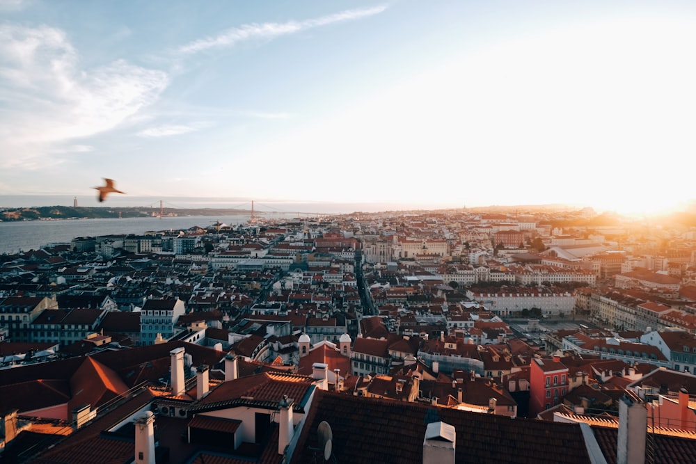 Fotografía aérea de la ciudad durante el día