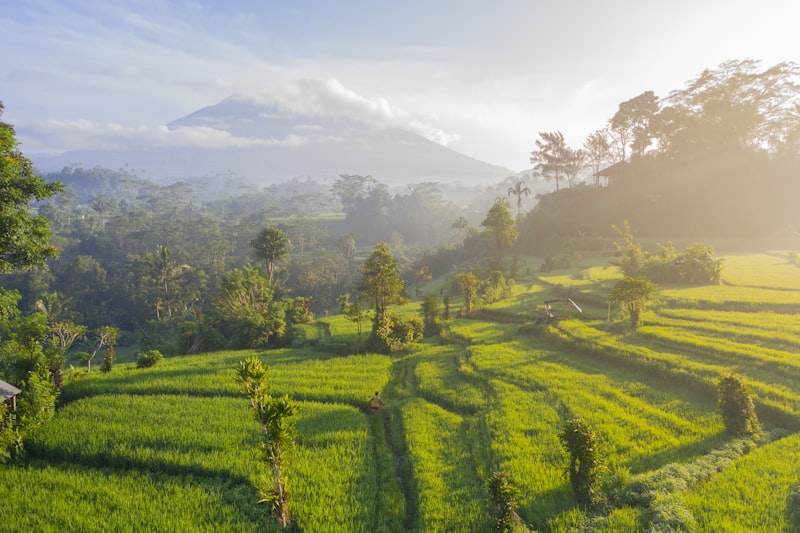Digital Nomad Summit 2025