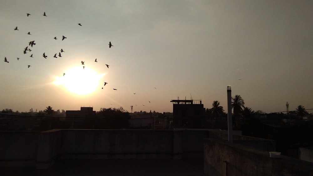 silhouette photography of building during golden hour