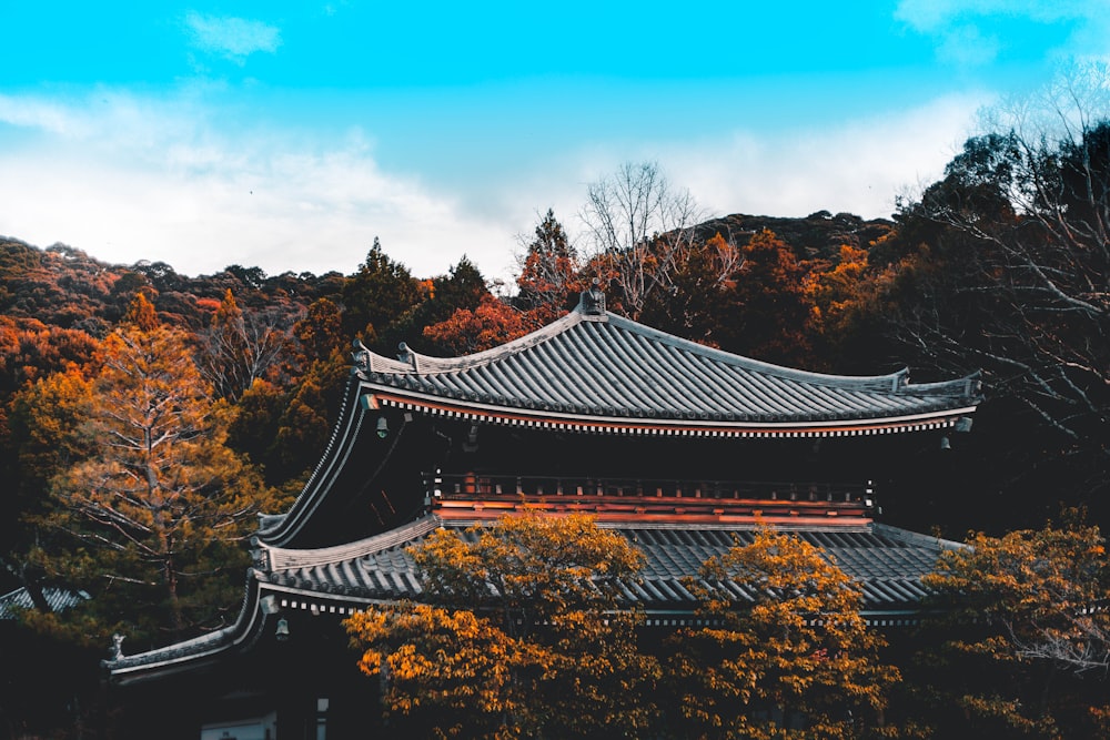 temple surrounded with trees