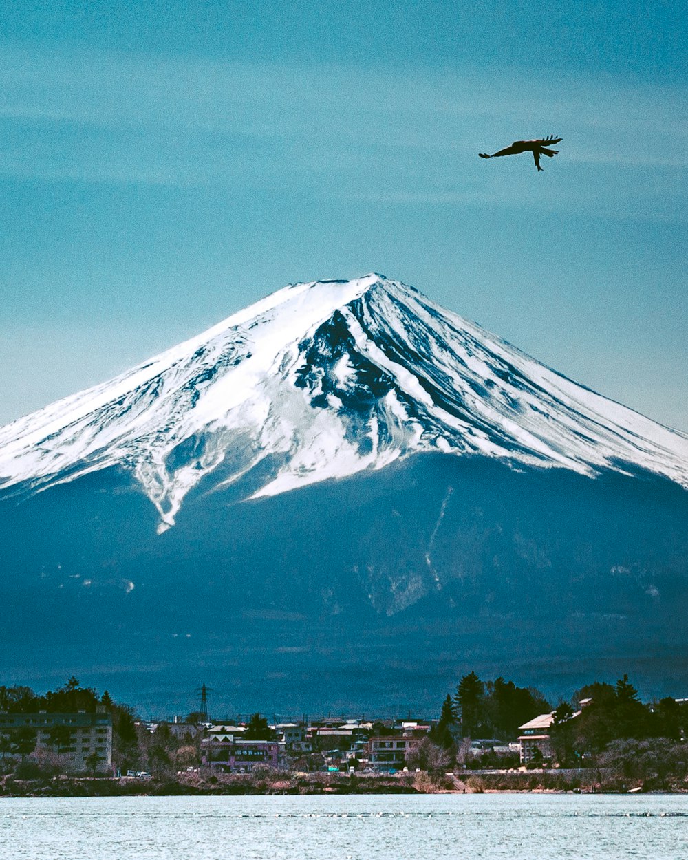 bird flying near snow mountain