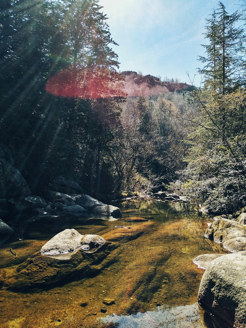 landscape photo of stream