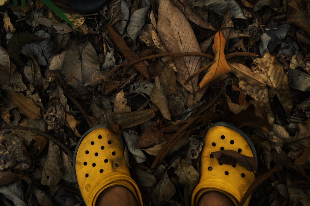 person wearing yellow clog shoes