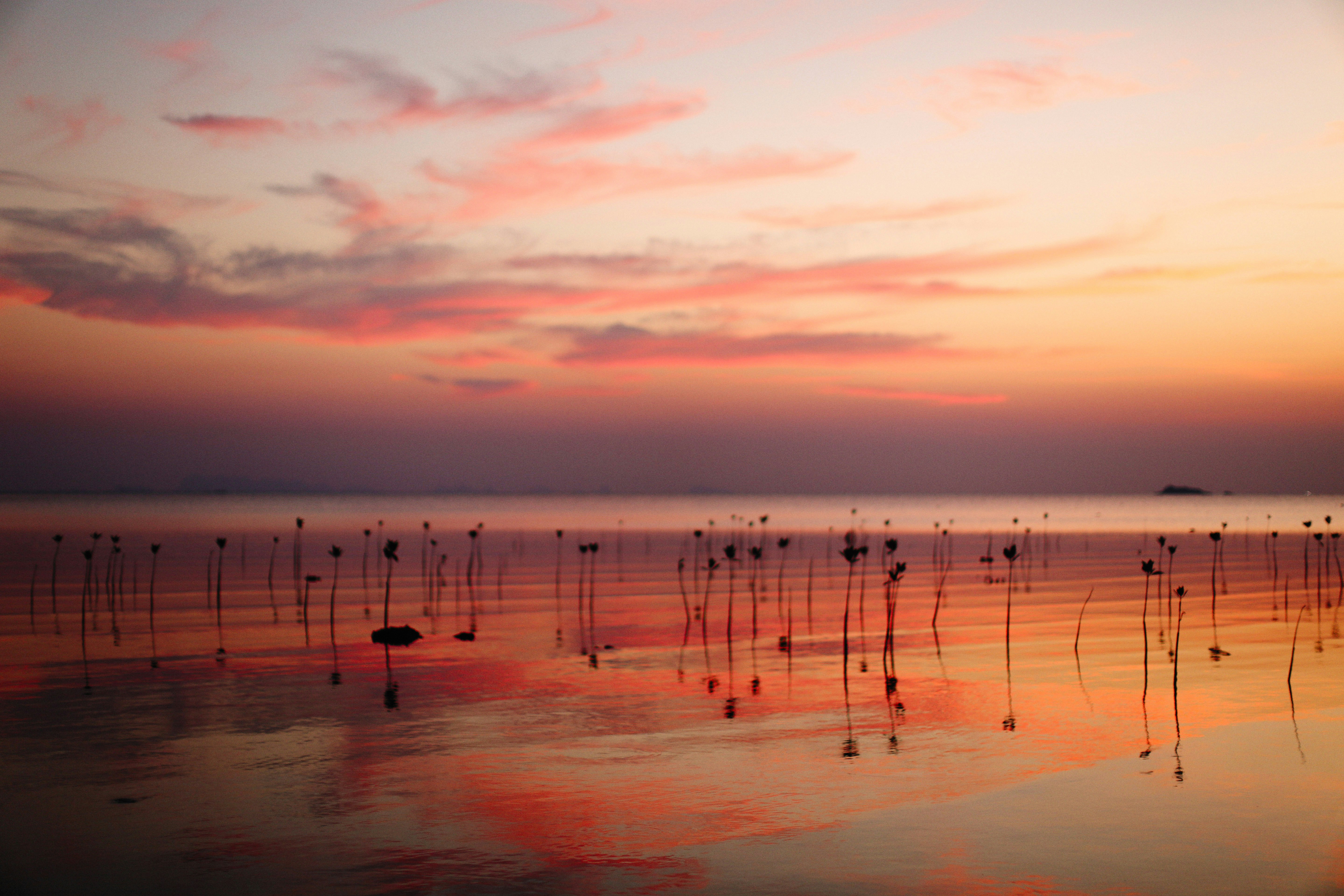 Photo by alexeydemidov