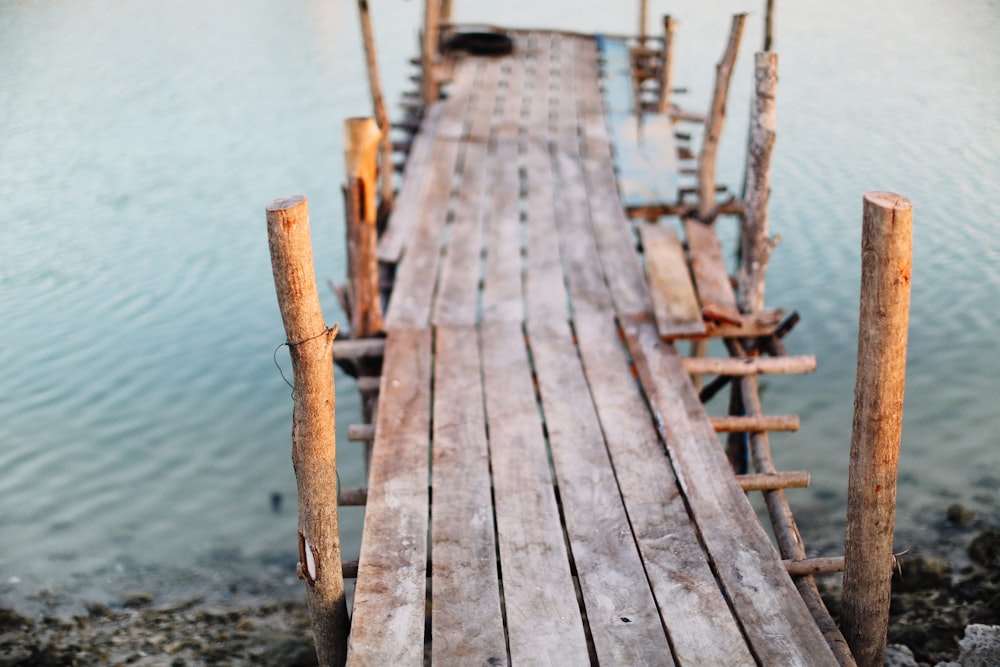 brown wooden dock