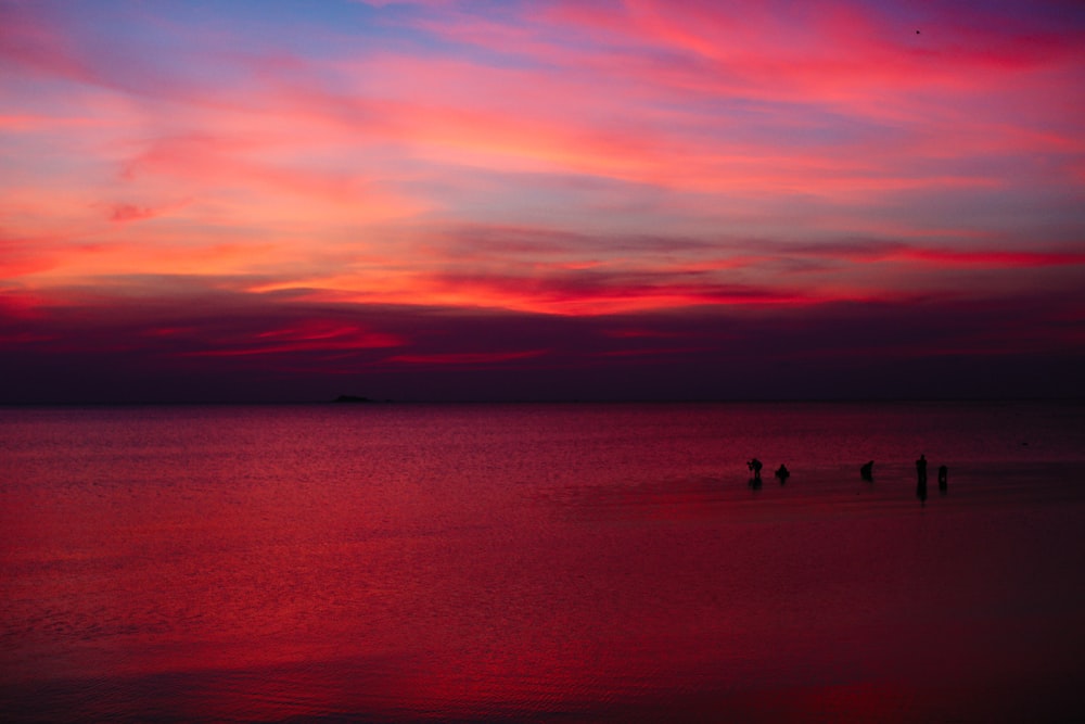 silhouette photo of sea