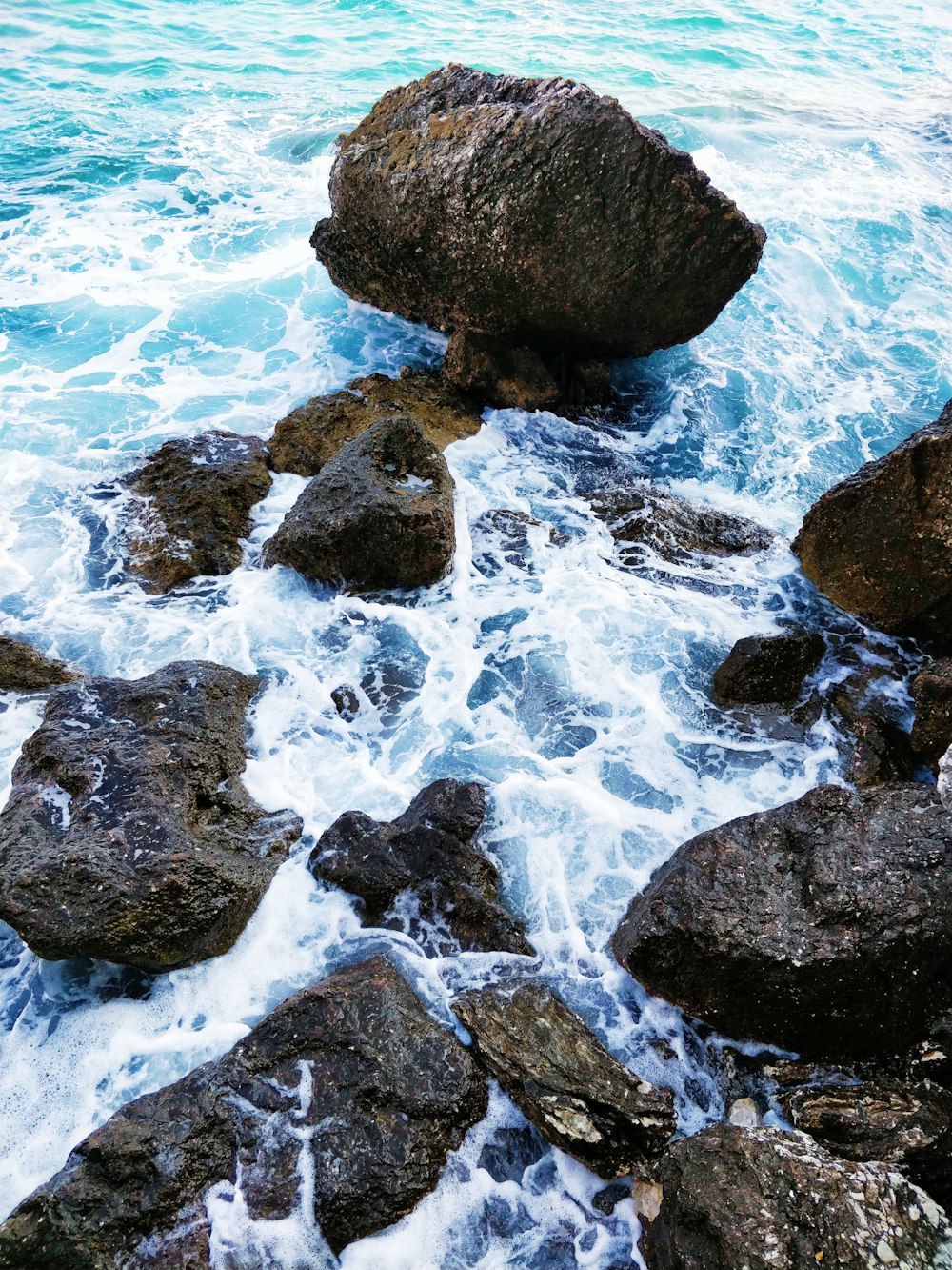 日中の岩だらけの海岸