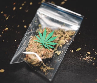 ground cannabis on clear plastic bag
