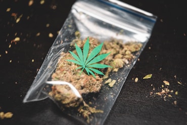 ground cannabis on clear plastic bag