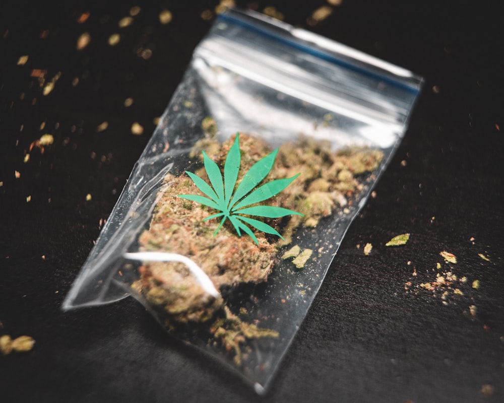 Cannabis macinata su un sacchetto di plastica trasparente