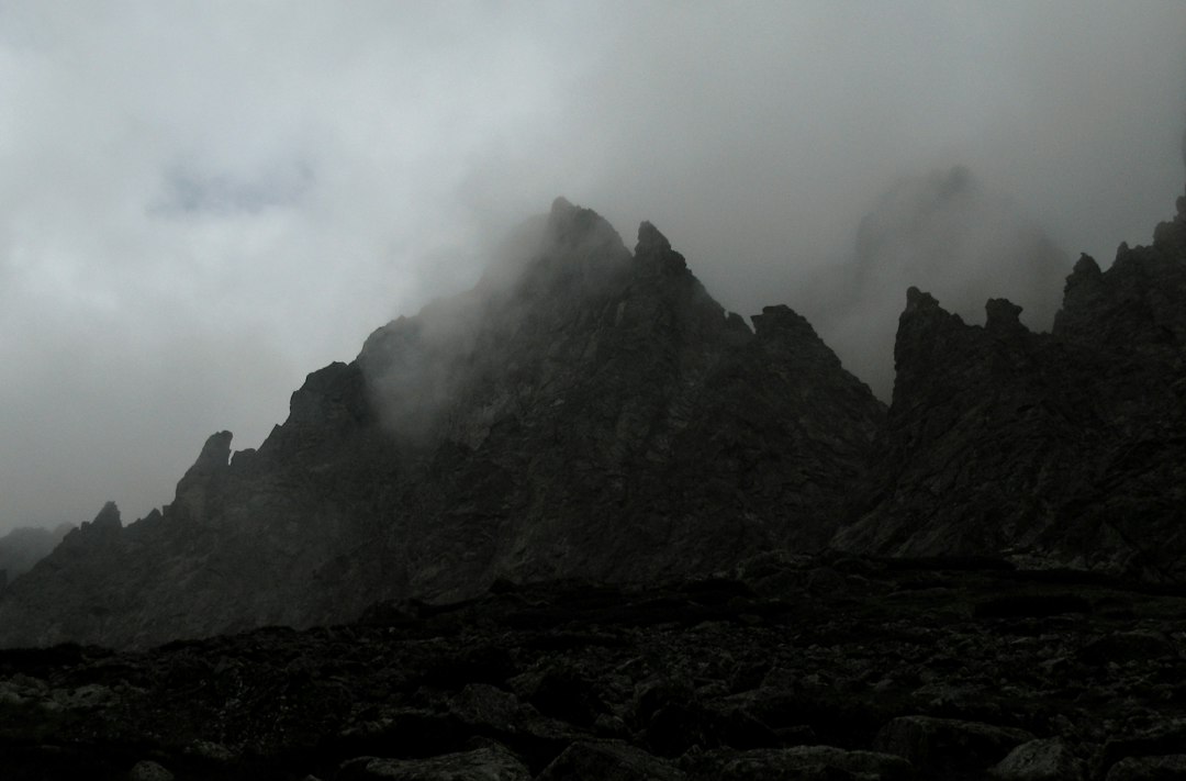 grayscale photo of a foggy mountain,
