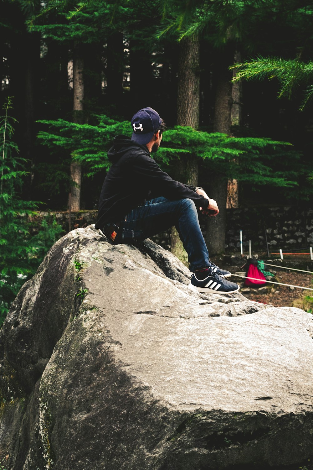 man sits on rock near pine tree