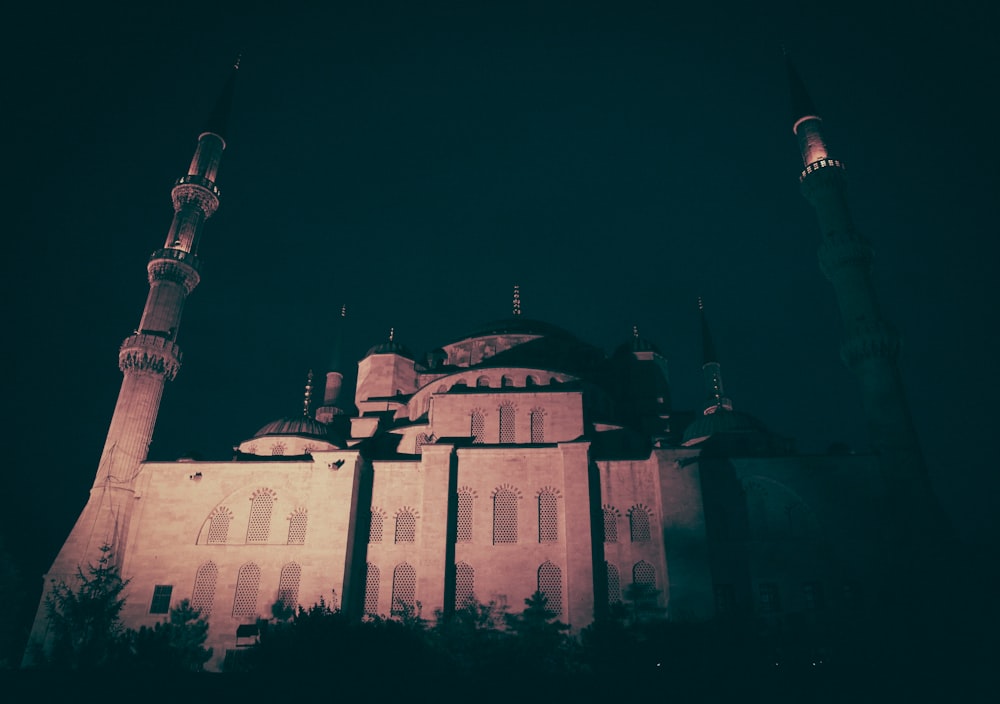 concrete mosque at night