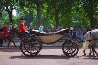 A horse-drawn carriage moves along a tree-lined street with a vibrant crowd gathered in the background. A person in a blue outfit sits in the carriage, accompanied by an individual in a red coat and top hat seated at the front. A horse is partially visible, pulling the carriage, which has large spoked wheels.