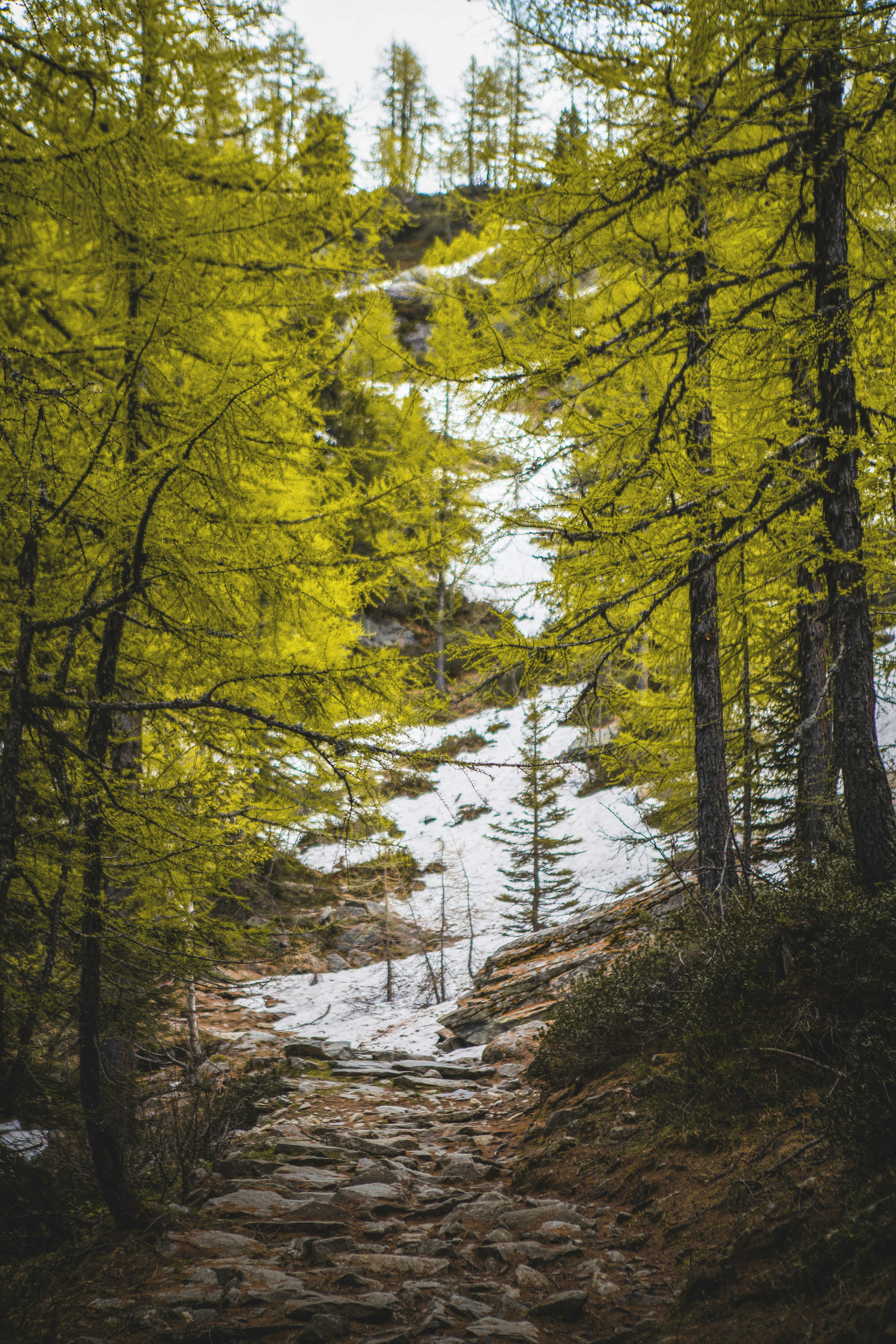 Photo by mrmarkdejong