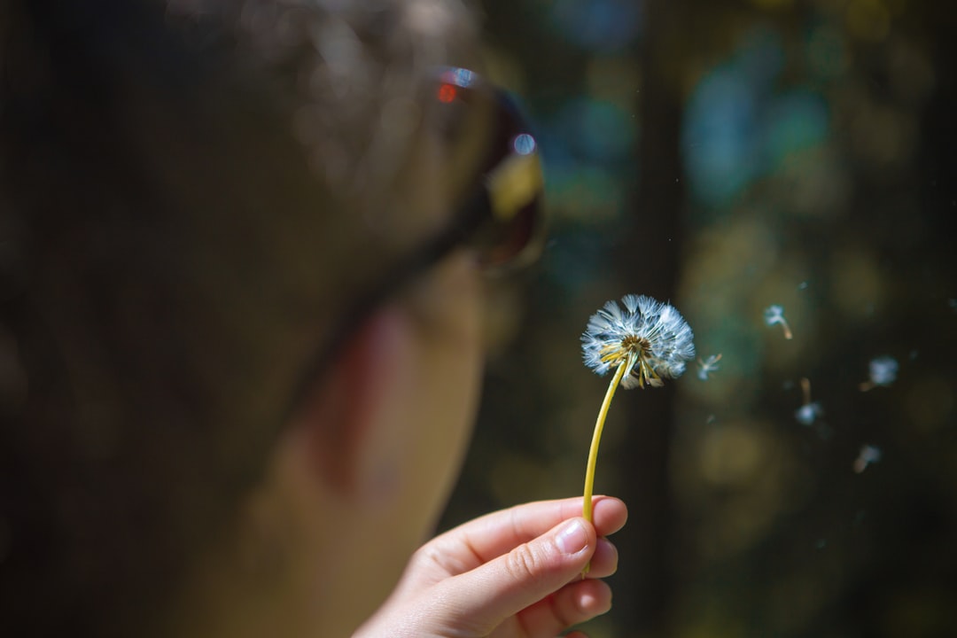 selective focus photography of man blowing dandelion