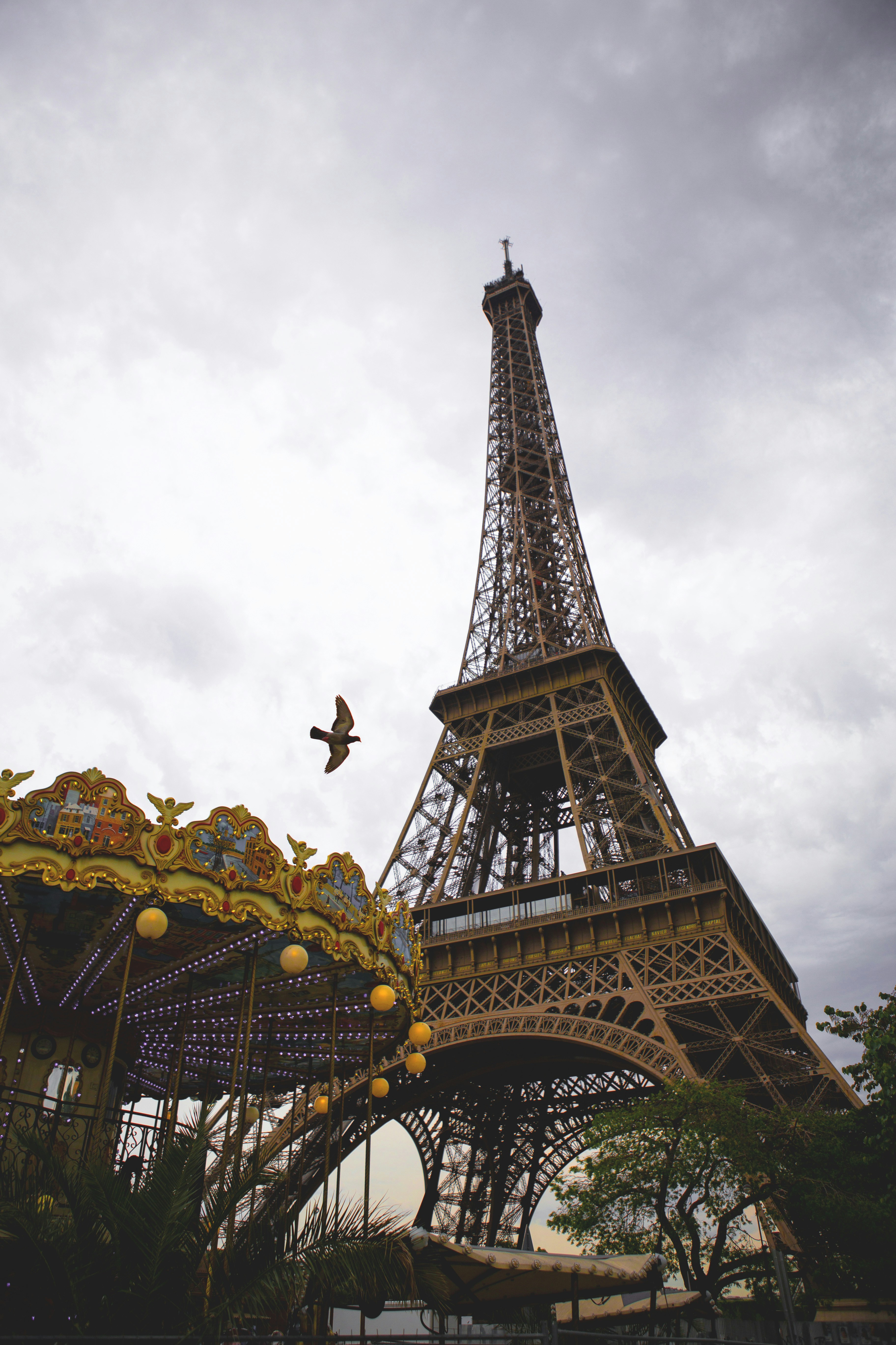 Photo by mrmarkdejong