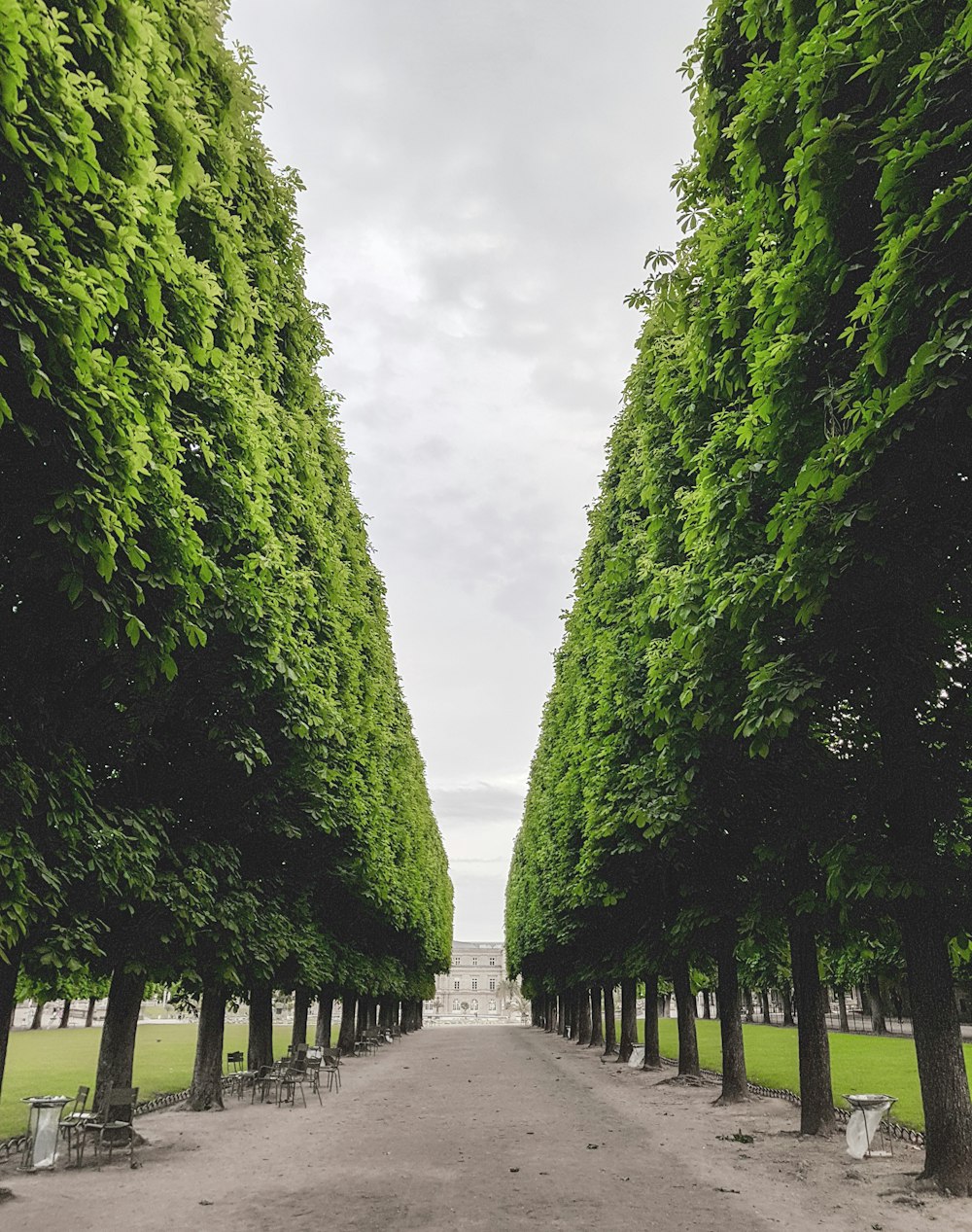 park between trees