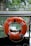 An orange lifebuoy with black text is attached to a railing, overlooking a calm body of water. There are green plants and rocks in the background, suggesting a natural setting.