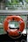 An orange lifebuoy with black text is attached to a railing, overlooking a calm body of water. There are green plants and rocks in the background, suggesting a natural setting.