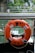 An orange lifebuoy with black text is attached to a railing, overlooking a calm body of water. There are green plants and rocks in the background, suggesting a natural setting.