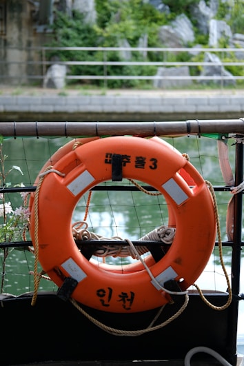 An orange lifebuoy with black text is attached to a railing, overlooking a calm body of water. There are green plants and rocks in the background, suggesting a natural setting.