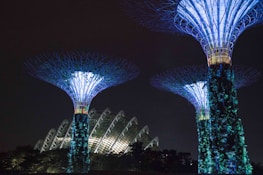 A serene view of Singapore's Gardens by the Bay at sunset with glowing Supertrees.
