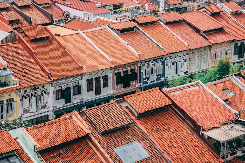 brown roof houses