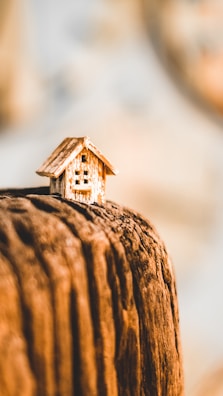 selective focus photography of brown wooden house miniature