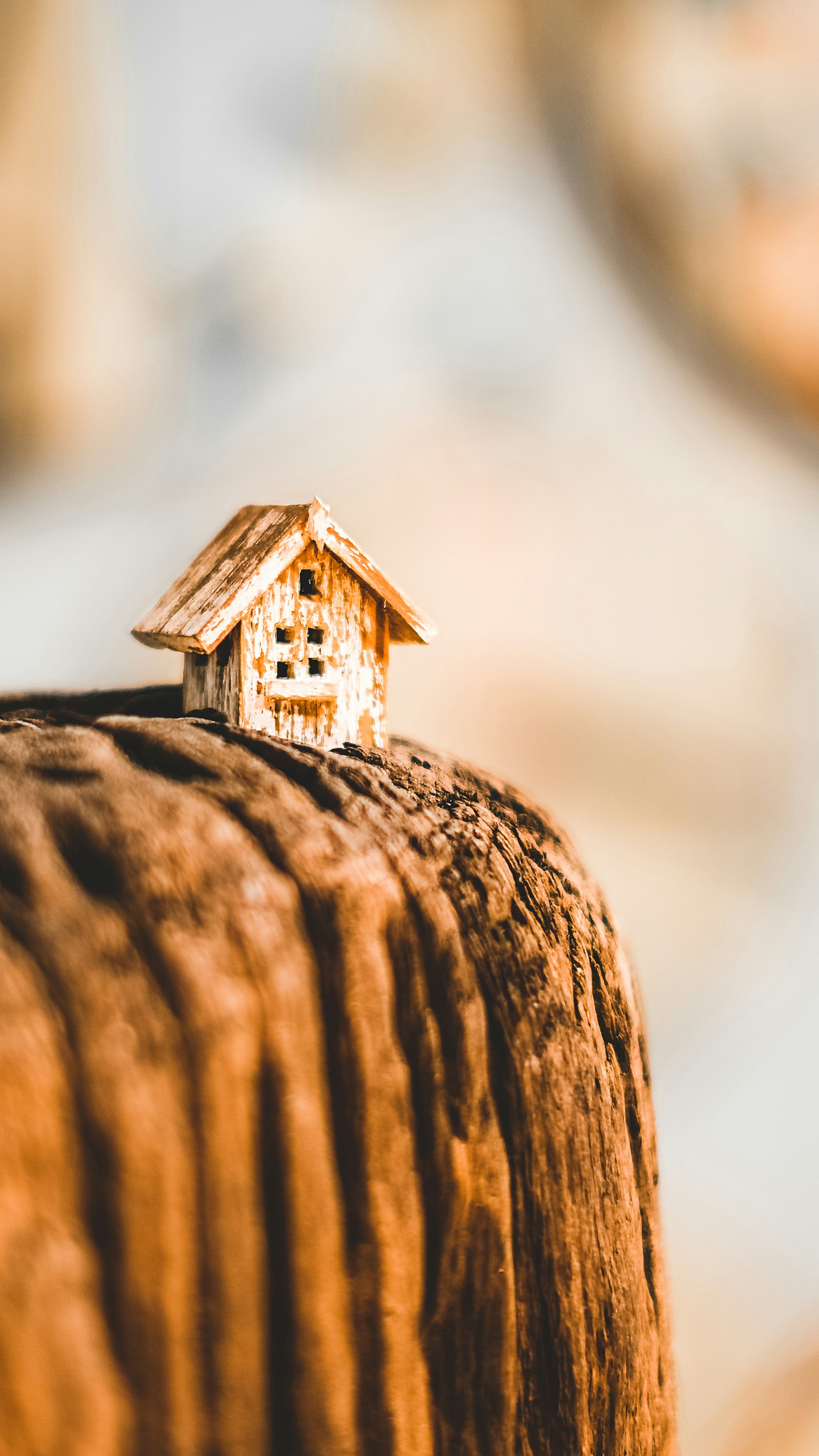 There are a few reasons why families should consider buying investment properties: